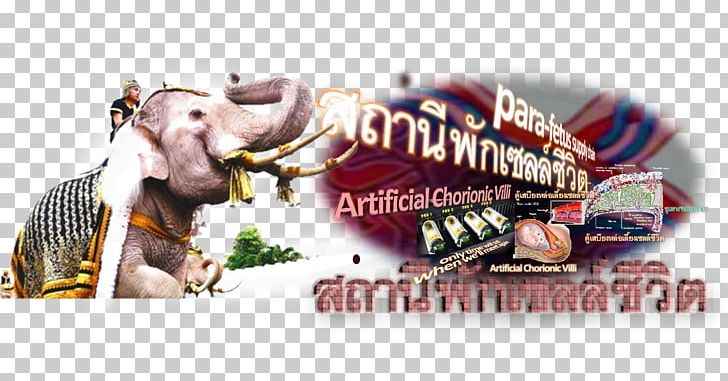 Advertising Snout Brand PNG, Clipart, Advertising, Brand, Faithfully, Others, Snout Free PNG Download