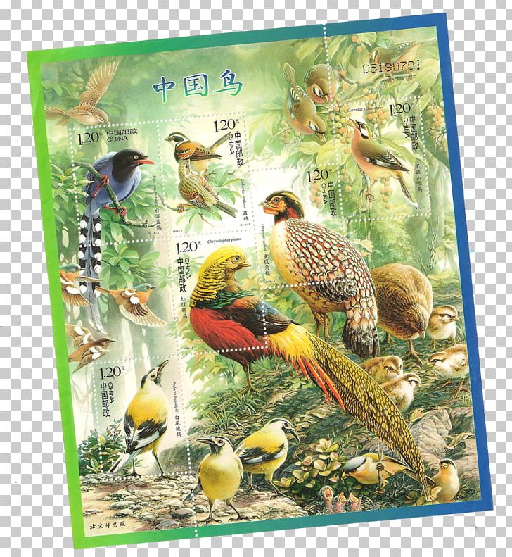 China Bird Postage Stamps Miniature Sheet Holiday Stamp PNG, Clipart, Beak, Bird, China, Collecting, Commemorative Stamp Free PNG Download