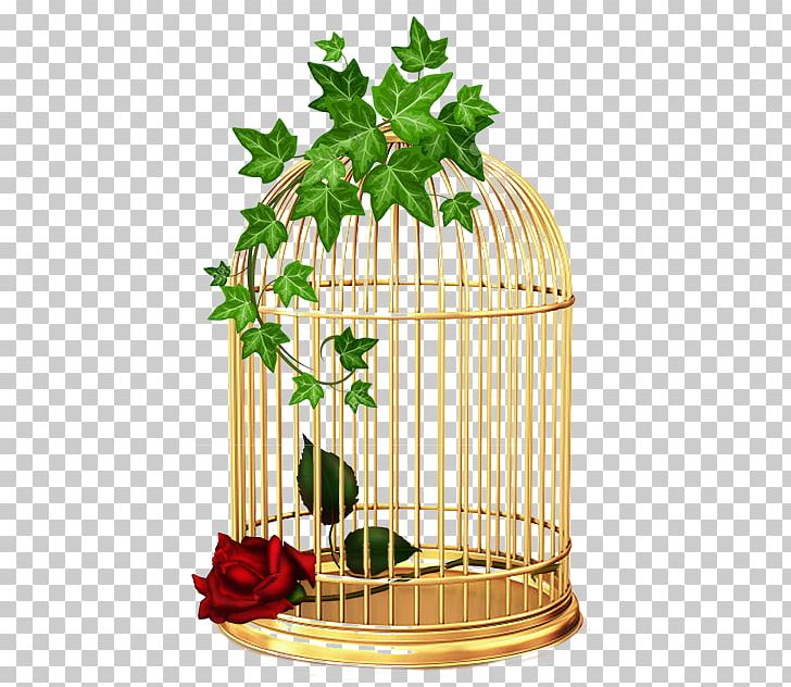 Common Ivy Drawing PNG, Clipart, Art, Cage, Common Ivy, Drawing, Flower Free PNG Download