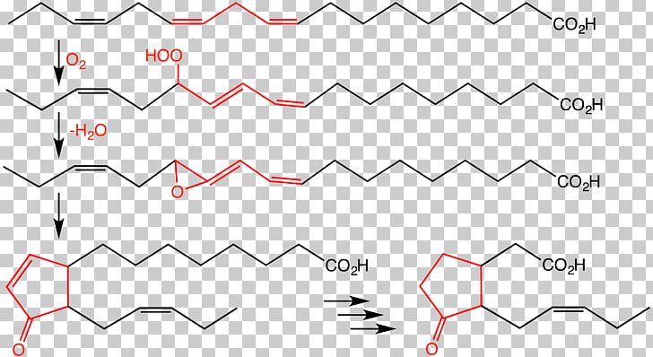 Jasmonic Acid Jasmonate Allene Oxide Biosynthesis PNG, Clipart, Acid, Allene, Alphalinolenic Acid, Angle, Area Free PNG Download