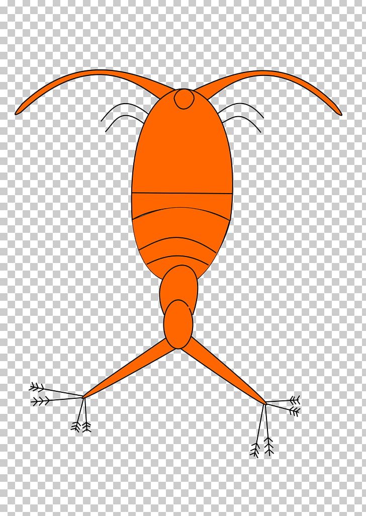 Angle Orange Plankton PNG, Clipart, Angle, Architecture, Area, Art, Artwork Free PNG Download
