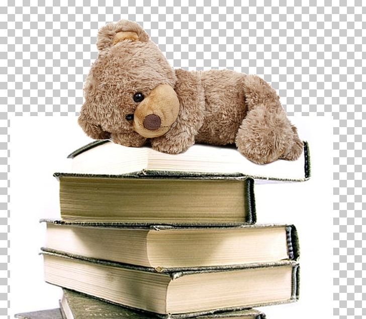 Sandy Public Library Central Library Teddy Bear PNG, Clipart, Animals, Bear, Child, Librarian, Library Free PNG Download