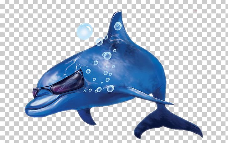 Tucuxi Common Bottlenose Dolphin Porpoise Rough-toothed Dolphin PNG, Clipart, Animal, Animals, Bottlenose Dolphin, Cetacea, Cobalt Blue Free PNG Download