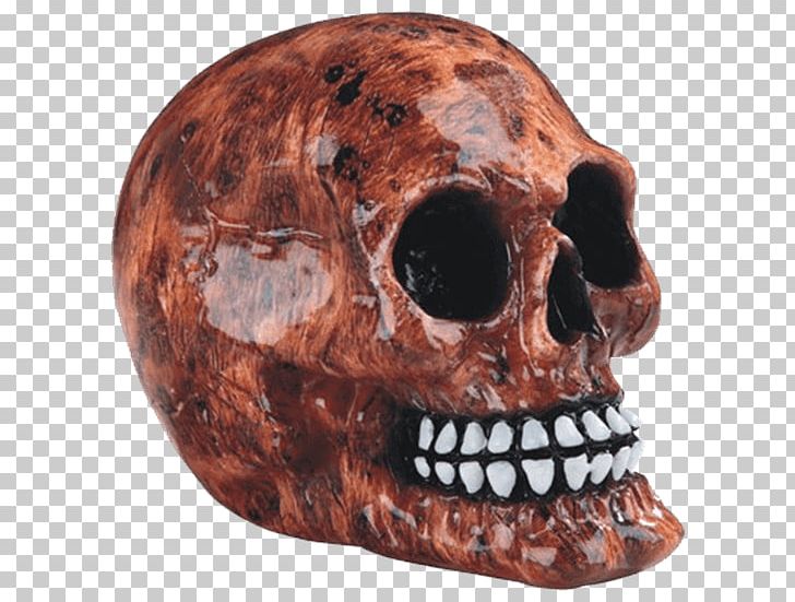 Skull Bone Human Skeleton Head PNG, Clipart, 92023, Bone, Crystal Skull, Day Of The Dead, Death Free PNG Download
