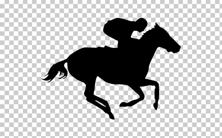 Thoroughbred Daily News Horse Racing Jockey PNG, Clipart, Black And White, Bridle, Colt, Cowboy, Derby Free PNG Download