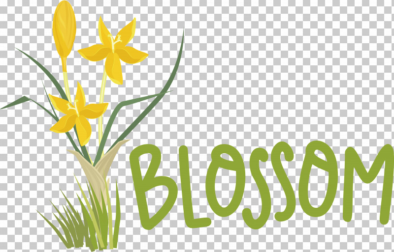 Floral Design PNG, Clipart, Cut Flowers, Daffodil, Floral Design, Flower, Grasses Free PNG Download