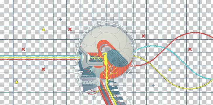 Central Nervous System Diagram Cerebrum PNG, Clipart, Agy, Angle, Brain, Central, Cranial Nerves Free PNG Download