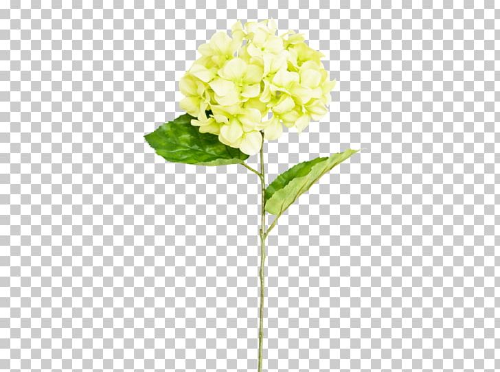 Hydrangea Cut Flowers Plant Stem PNG, Clipart, Artificial Flower, Cornales, Cut Flowers, Floral Design, Flower Free PNG Download