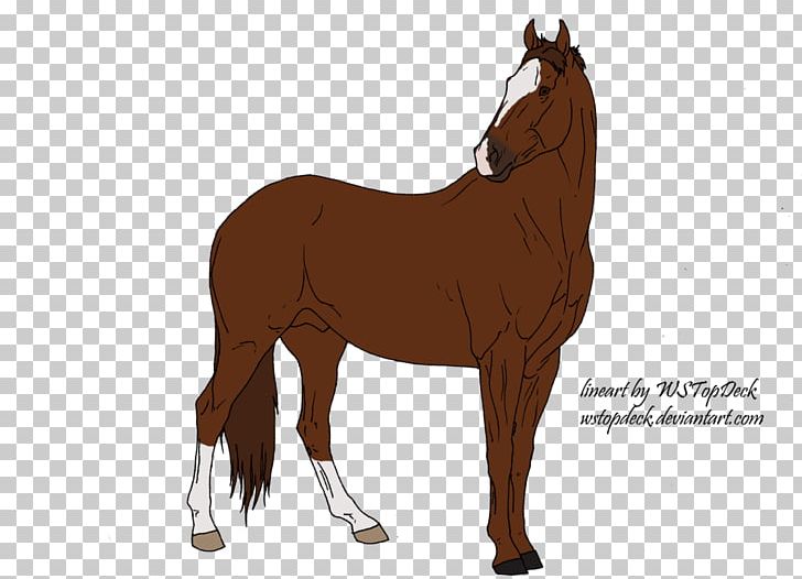 Pony Mane Mustang Foal Mare PNG, Clipart,  Free PNG Download