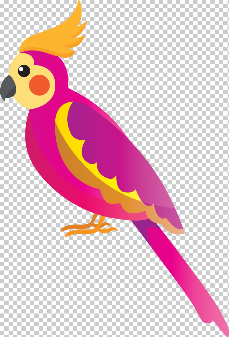 Chicken Parrots Beak Chicken PNG, Clipart, Beak, Bird Cartoon, Chicken, Cute Bird, Parrots Free PNG Download