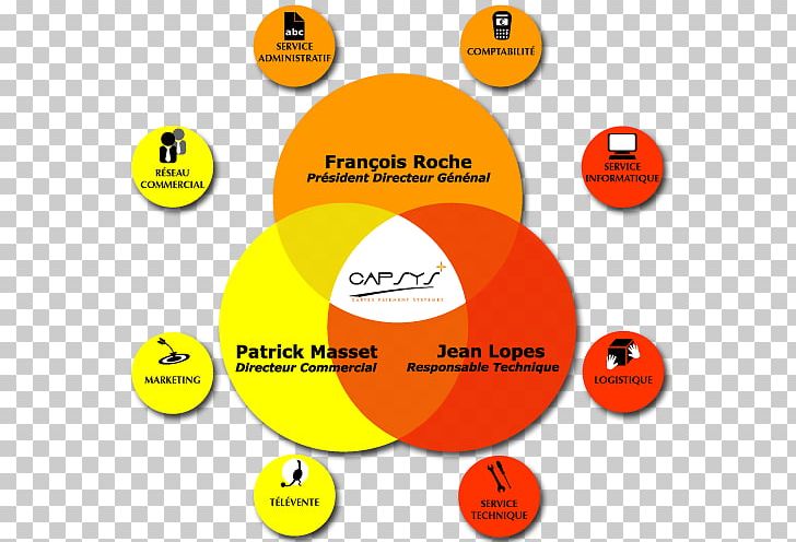 Organizational Chart Service Chief Commercial Officer PNG, Clipart, Area, Ball, Brand, Chief Commercial Officer, Chief Executive Free PNG Download