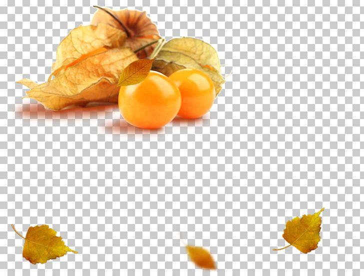 Peruvian Groundcherry Clementine Tropical Fruit Food PNG, Clipart, Alimento Saludable, Auglis, Berry, Clementine, Food Free PNG Download