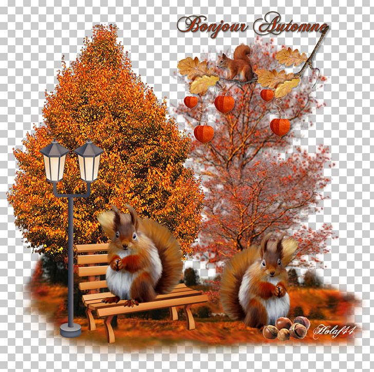 Wildlife Christmas Ornament Branching PNG, Clipart, Autumn, Branch, Branching, Christmas, Christmas Ornament Free PNG Download