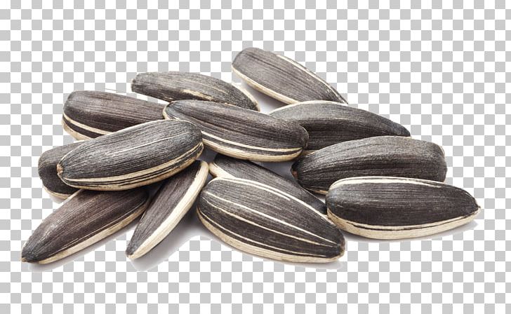 Common Sunflower Sunflower Seed Nut PNG, Clipart, Closeup, Download, Flowers, Food, Hands Up Free PNG Download