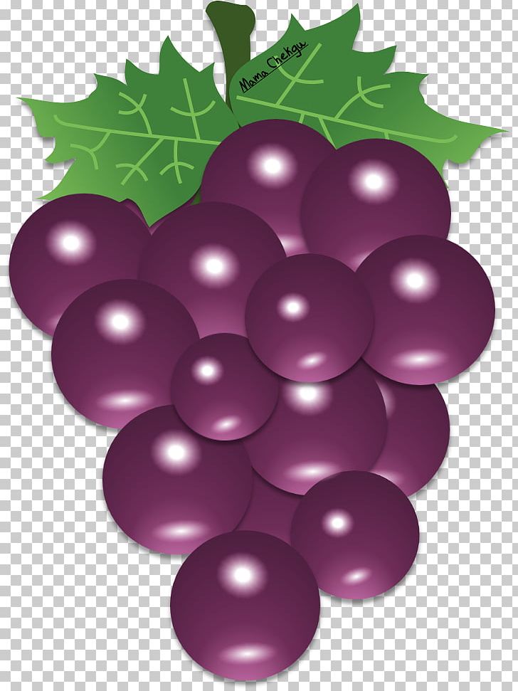 Grape Zante Currant Seedless Fruit Auglis PNG, Clipart, 2016, 2017, Assalamu Alaykum, Auglis, Berry Free PNG Download
