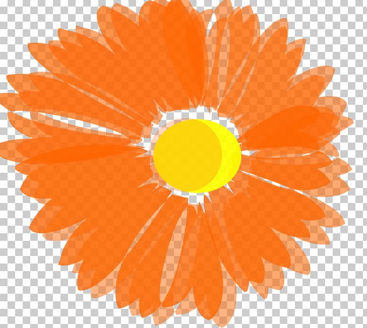 Orange Flower PNG, Clipart, Blog, Calendula, Circle, Computer Icons, Daisy Family Free PNG Download