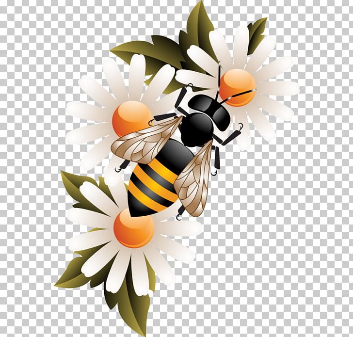 Worker Bee Honey Bee Honeycomb PNG, Clipart, Bee, Beehive, Computer Wallpaper, Cut Flowers, Encapsulated Postscript Free PNG Download