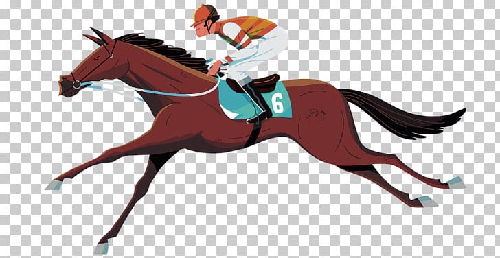 Pony English Riding Mustang Rein Stallion PNG, Clipart, Bit, English Riding, Equestrian, Equestrianism, Equestrian Sport Free PNG Download