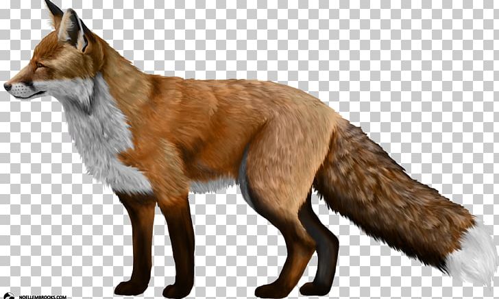 Domesticated Red Fox Silver Fox PNG, Clipart, Carnivoran, Computer Icons, Display Resolution, Dog Breed, Dog Like Mammal Free PNG Download