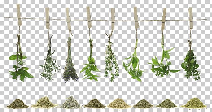 Green Tea Herb Spice Recipe PNG, Clipart, Cooking, Drink, Dry, Food, Food Drinks Free PNG Download