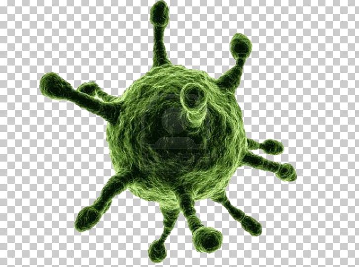 Virus Infection Bacteria Organism PNG, Clipart, Antiviral Drug, Art, Bacteria, Chikungunya Virus Infection, Common Cold Free PNG Download
