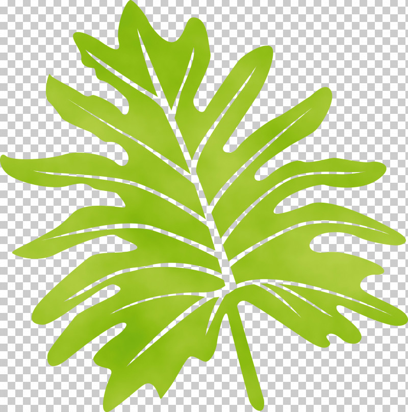 Leaf Plant Stem Leaf Vegetable Line Tree PNG, Clipart, Biology, Geometry, Leaf, Leaf Vegetable, Line Free PNG Download