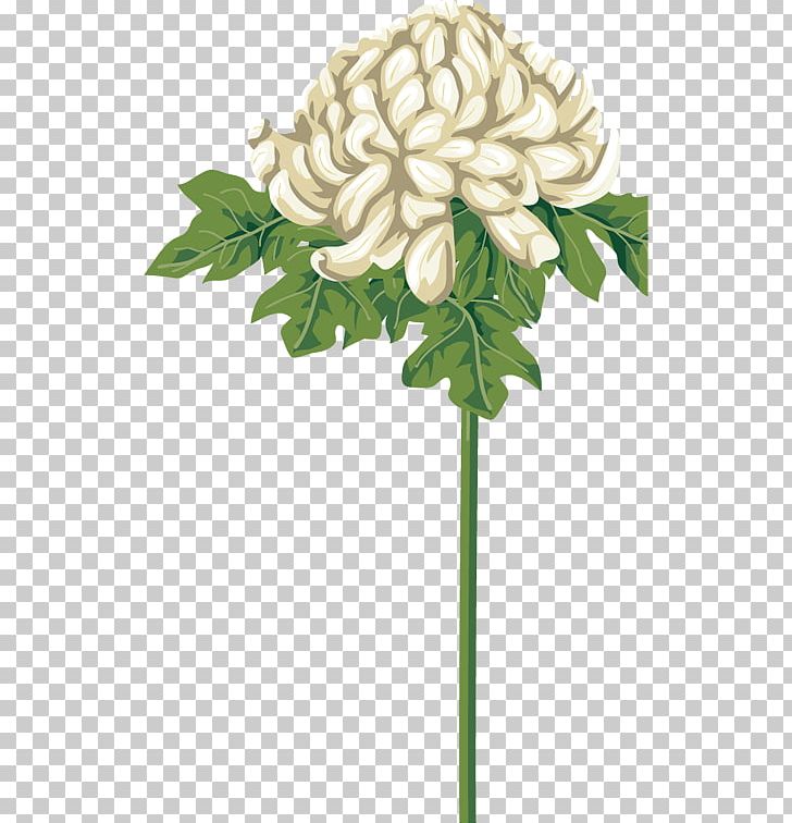 Chrysanthemum PNG, Clipart, Chrysanthemum, Computer Software, Cut Flowers, Desktop Wallpaper, Digital Image Free PNG Download