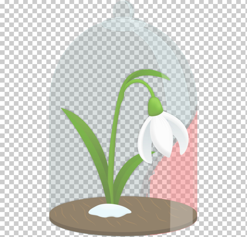 Snowdrop Flowerpot Plant Flower Houseplant PNG, Clipart, Amaryllis Family, Flower, Flowerpot, Galanthus, Grass Free PNG Download