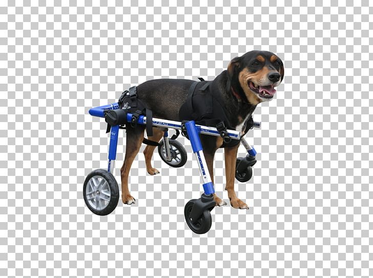 Dog Breed Wheelchair Dobermann Puppy Cane Corso PNG, Clipart,  Free PNG Download