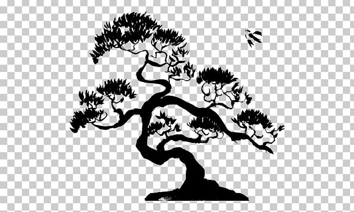 Learning Classroom Teacher Bonsai PNG, Clipart, Art, Bonsai, Bonsai Tree, Branch, Cartoon Free PNG Download