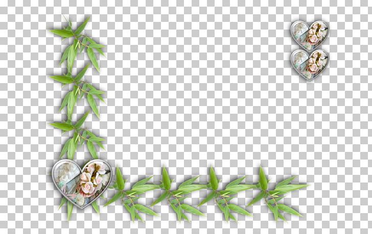 Painting Flower Drawing PNG, Clipart, Art, Body Jewelry, Branch, Drawing, Flatcast Free PNG Download