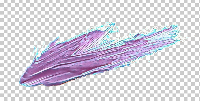 Feather PNG, Clipart, Feather, Muscle, Pink, Purple, Quill Free PNG Download
