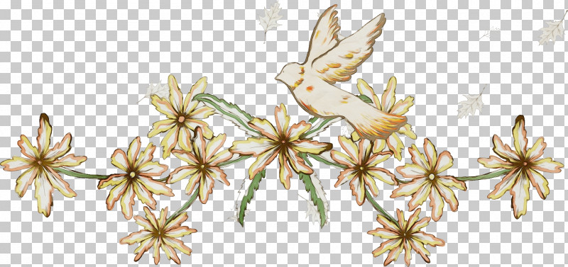 Flower Plant Edelweiss Pedicel Wildflower PNG, Clipart, Edelweiss, Flower, Flower Background, Flower Border, Paint Free PNG Download