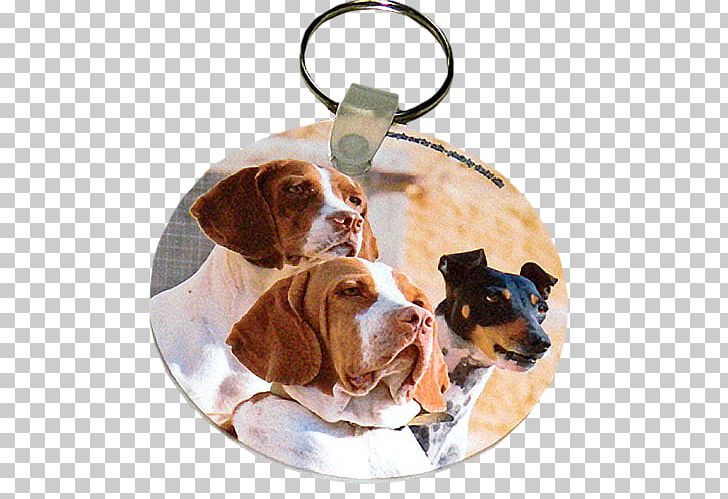 Dog Breed Treeing Walker Coonhound Key Chains Puppy Gift PNG, Clipart, Animal, Animals, Breed, Canvas Print, Carnivoran Free PNG Download