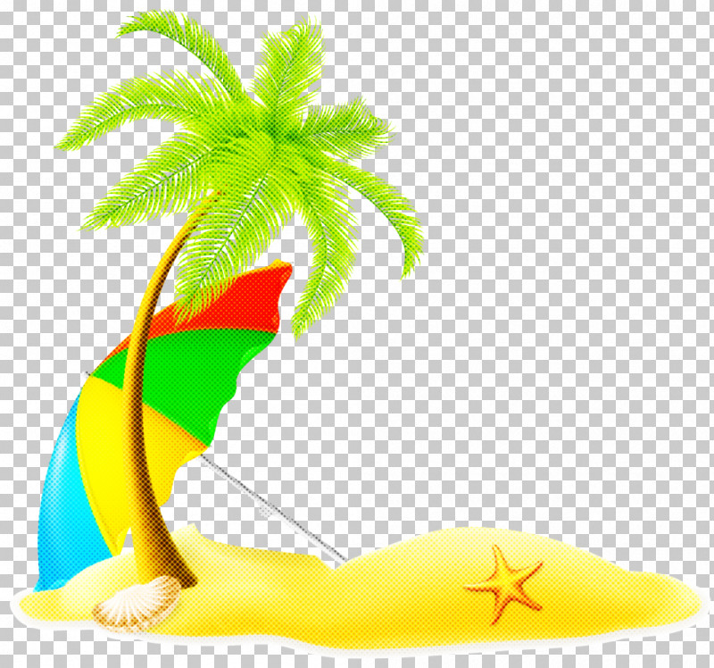 Palm Tree PNG, Clipart, Arecales, Green, Leaf, Palm Tree, Plant Free PNG Download