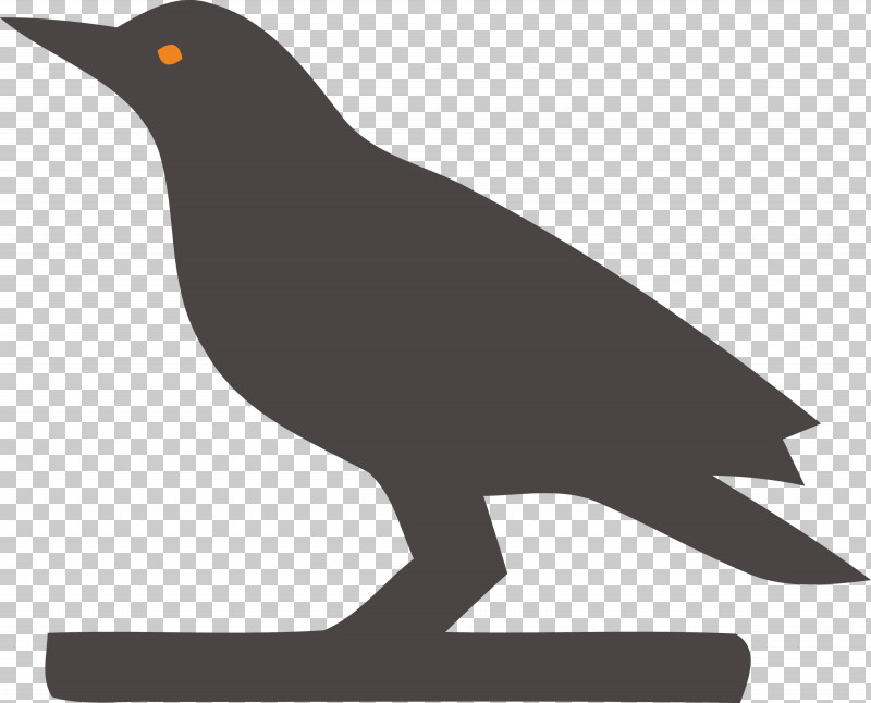 Birds Beak Black And White Silhouette Meter PNG, Clipart, Beak, Biology, Birds, Black And White, Crow Free PNG Download