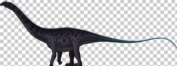 Apatosaurus Brachiosaurus Brontosaurus Dinosaur Brachytrachelopan PNG, Clipart, Animal Figure, Apatosaurus, Brachiosaurus, Brontosaurus, Carnivoran Free PNG Download
