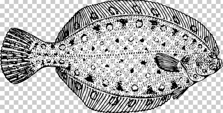 Bering Flounder Drawing Line Art PNG, Clipart, Animals, Aquatic, Bering Flounder, Black And White, Bothidae Free PNG Download