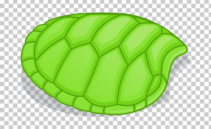 Green Sea Turtle PNG, Clipart, Animal, Animals, Animation, Download, Drawing Free PNG Download