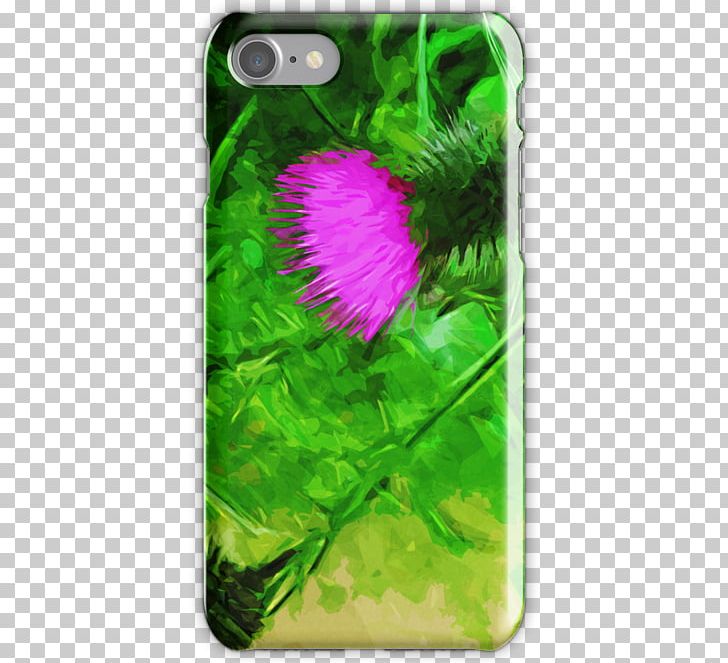 Mobile Phone Accessories Magenta Flowering Plant Wildflower PNG, Clipart, Flora, Flower, Flowering Plant, Grass, Impressionism Free PNG Download