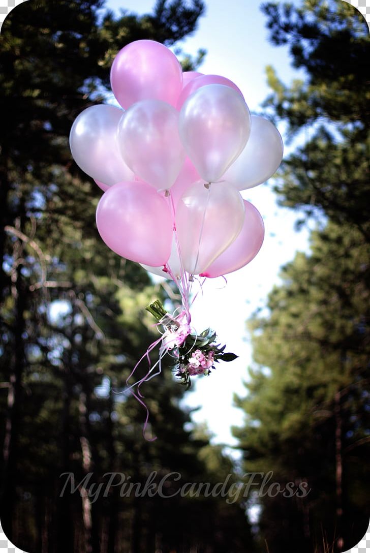 Balloon Pink M Petal PNG, Clipart, Balloon, Balonlar, Blossom, Branch, Flora Free PNG Download