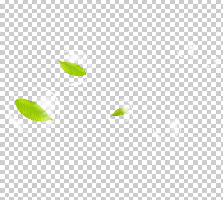 Green Area Angle Pattern PNG, Clipart, Angle, Area, Autumn Leaf, Drop Down, Drops Free PNG Download