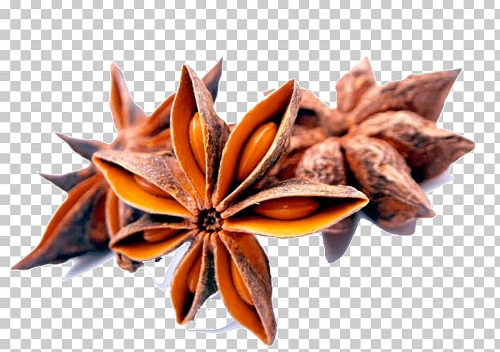 Star Anise Spice Herb Chinese Cuisine PNG, Clipart, Anise, Baharat, Chinese Cuisine, Cinnamomum Verum, Cinnamon Free PNG Download