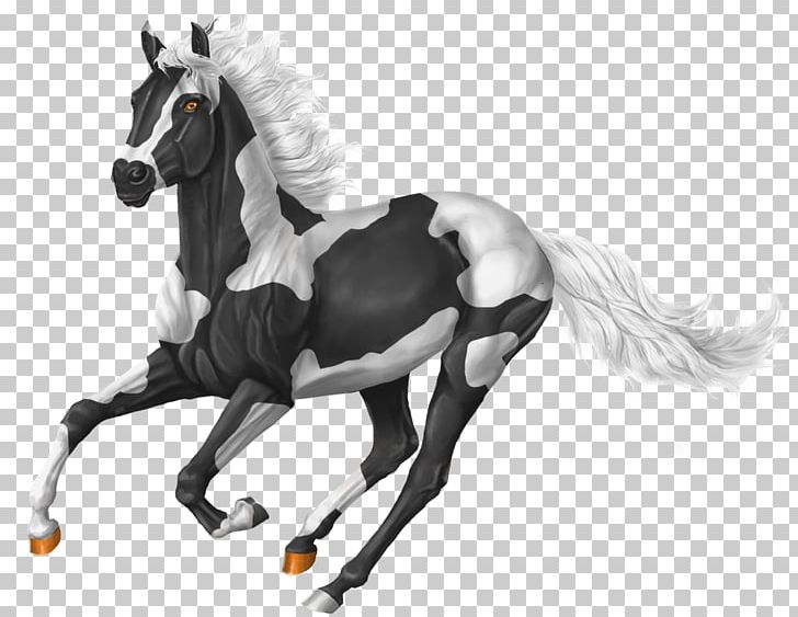 Horse Mane Pony Drawing Sketch PNG, Clipart, Animals, Art, Black And White, Croquis, Dra Free PNG Download