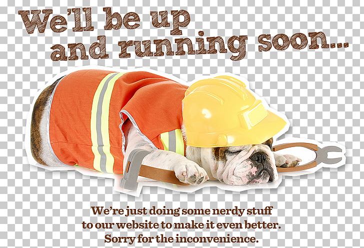 Laredo Animal Care Facility Maintenance Business Paint PNG, Clipart, Business, Carnivoran, Customer Service, Dog, Dog Breed Free PNG Download