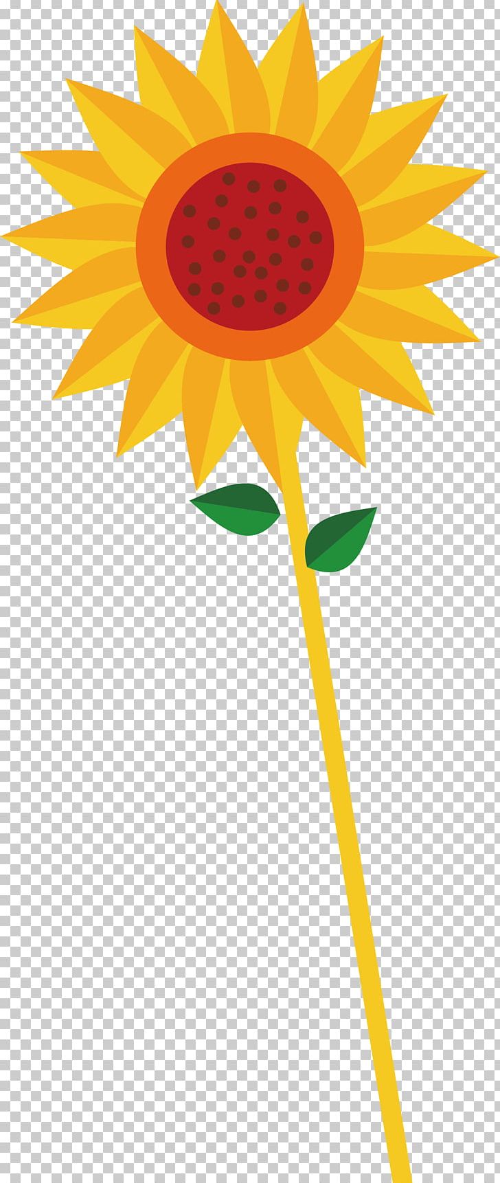 Common Sunflower Euclidean PNG, Clipart, Daisy Family, Encapsulated Postscript, Flower, Flowers, Happy Birthday Vector Images Free PNG Download