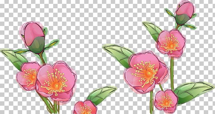 Drawing Flower PNG, Clipart, Can Stock Photo, Cut Flowers, Download, Drawing, Floral Design Free PNG Download