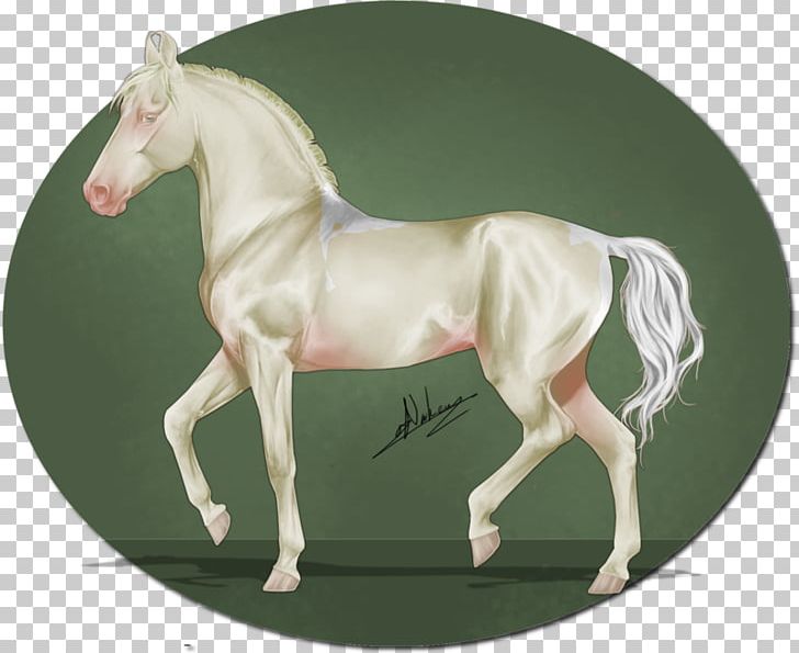 Stallion Foal Mustang Colt Mare PNG, Clipart, Bamboo 19 0 1, Bridle, Colt, Foal, Grass Free PNG Download
