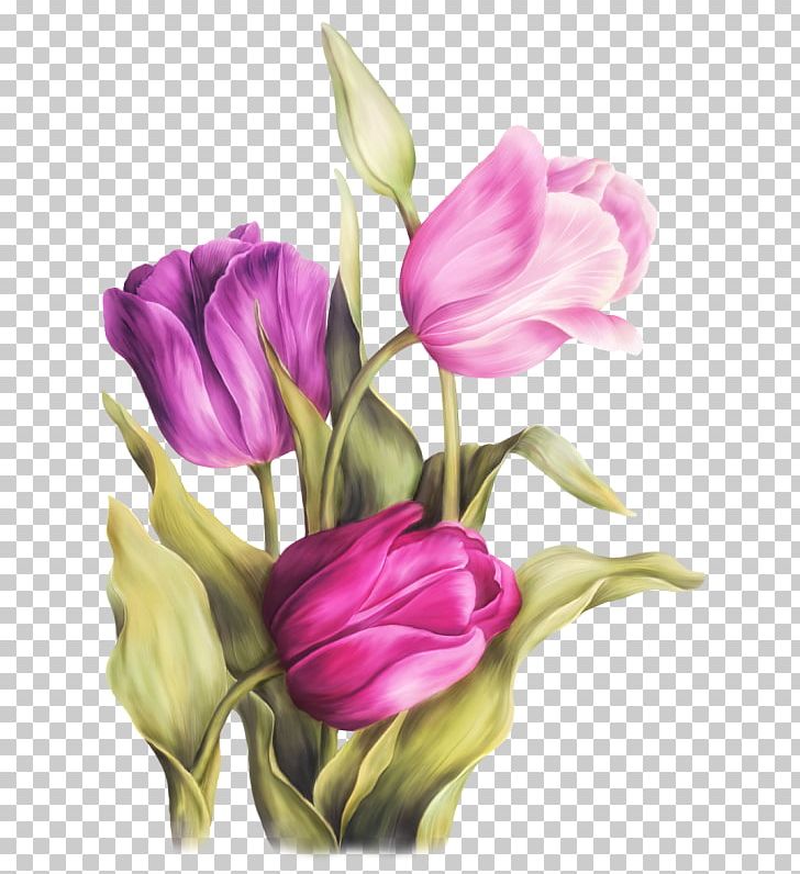 Watercolor Painting Art Tulip PNG, Clipart, Art Museum, Bud, Cut Flowers, Drawing, Floral Design Free PNG Download