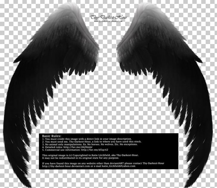 Archangel Drawing Fallen Angel PNG, Clipart, Angel, Archangel, Art, Beak, Black And White Free PNG Download